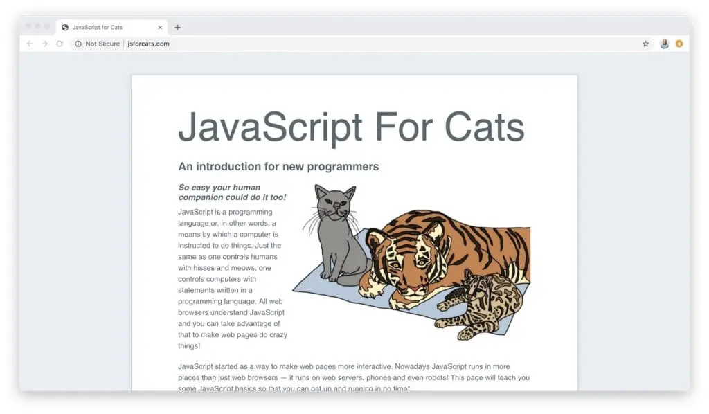 javascript for cats