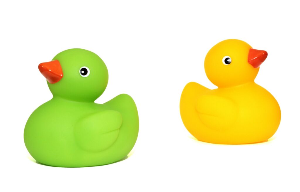 two rubber ducks
